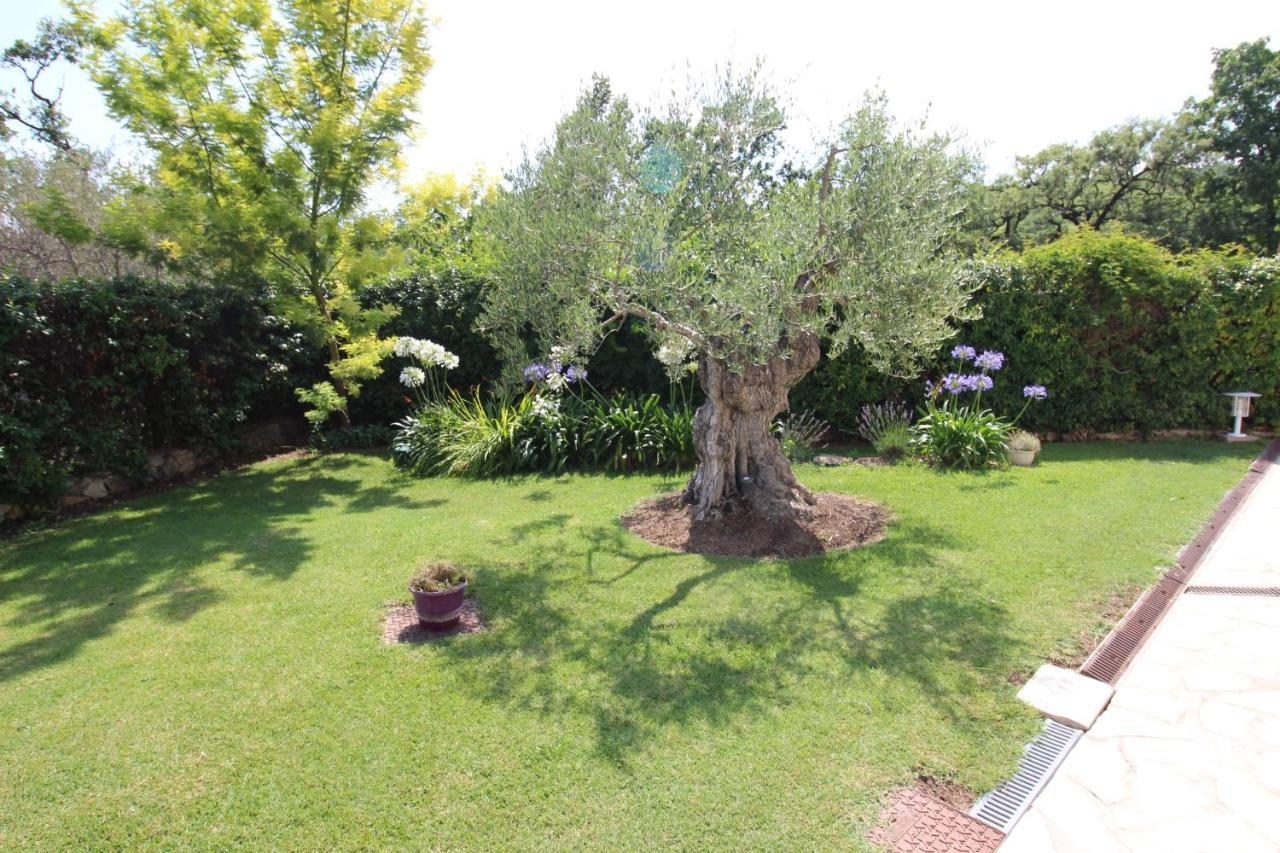 Villa Jalna Chambre, Suites Et Appartement Roquefort-les-Pins Exterior foto